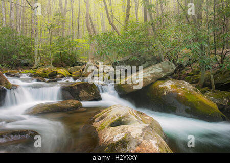 Stromschnellen, Kaskaden und Wasserfällen entlang der mittleren Stift des Little River, Great Smoky Mountains National Park, Tennessee USA Stockfoto