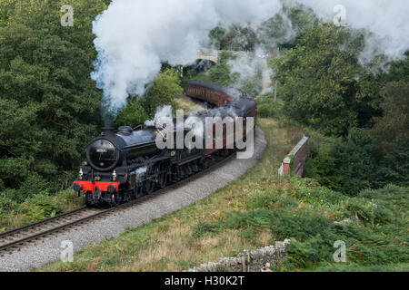 Klasse Lok 61264 Klasse B1 Lokomotive Welsh Steam Gala North Yorkshire Moors Railway, Darnholme, UK Stockfoto