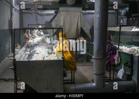 Frauen arbeiten innen Baumwolle Mühle Multan Pakistan Stockfoto