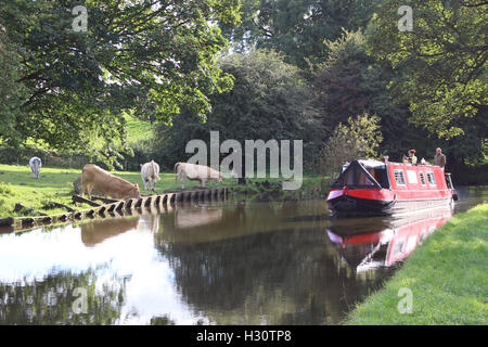 Lancaster Canal Bolton Le Sands Lancashire, UK. 2. Oktober 2016. Herbstsonne. Auf dem Lancaster-Kanal als schmale Boot-Transite in Richtung Carnforth Credit: David Billinge/Alamy Live News Stockfoto