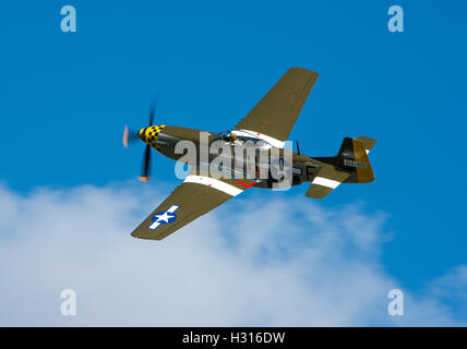 P51 Mustang "Janie" The Cosby Sieg Show vor dem Absturz auf tragische Weise in Norfolk Stockfoto