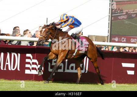 Chantilly Racecourse, Frankreich. 1. Oktober 2016. Prix de l Arc de Triomphe, race 4 auf Karte. Gefunden von Ryan Lee Moore gewinnt das Rennen geritten © Action Plus Sport/Alamy Live News Stockfoto