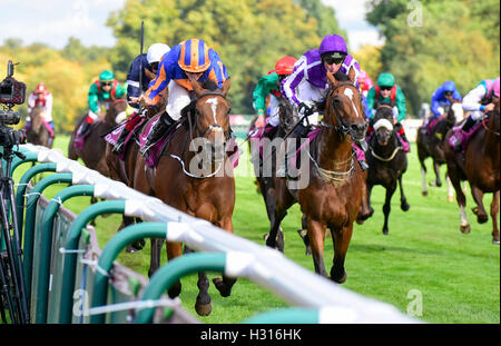 Chantilly Racecourse, Frankreich. 1. Oktober 2016. Prix de l Arc de Triomphe, race 4 auf Karte. Gefunden von Ryan Lee Moore gewinnt das Rennen geritten © Action Plus Sport/Alamy Live News Stockfoto