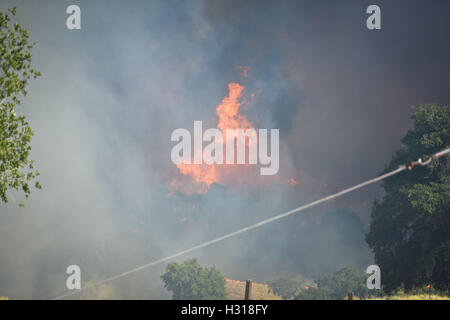 Los Angeles, CA, USA. 24. Juli 2016. Das Sand-Feuer brennt im Angeles National Forest Sonntag, 24. Juli 2016 unter eine rote Fahne Warnung hohe starke Winde. Das Feuer hatte 22.000 Hektar bis zum Sonntag Morgen verbrannt und 10 % als Feuerwehrleute gekämpft niedrige Luftfeuchtigkeit, wechselnder Wind und hohen Temperaturen enthalten war. Eine unbekannte Anzahl von Strukturen waren verloren. © Stuart Palley/ZUMA Draht/Alamy Live-Nachrichten Stockfoto