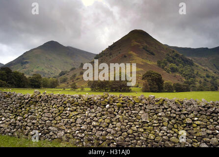 Hohe Hartsop Dodd und mittleren Dodd, Patterdale Bereich, Lake District National Park Stockfoto