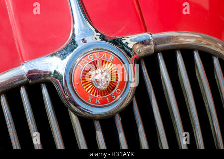 Ein Jaguar XK150 Abzeichen Stockfoto