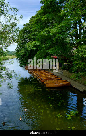 Ruderboote am Fluss Stour in Dedham Stockfoto