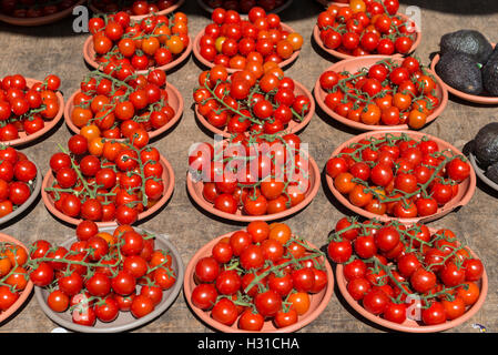 Tomaten auf der Rebe und runde Platte, Straßenmarkt in Divonne-Les-Bains, Straße Markt, Divonne-Les-Bains, Auvergne-Rhône-Alpes Stockfoto