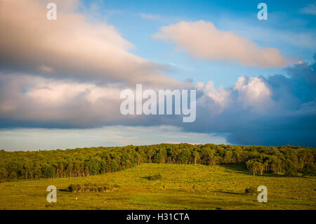 Schöne Wolken über große Wiesen, im Shenandoah-Nationalpark, Virginia. Stockfoto