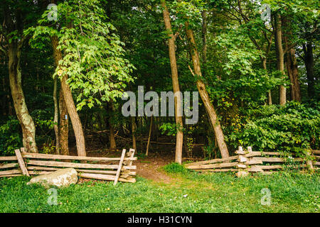 Zaun und Bäume am Pass Mountain Overlook, im Shenandoah-Nationalpark, Virginia. Stockfoto