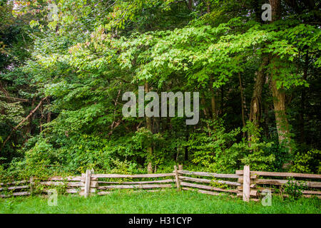 Zaun und Bäume am Pass Mountain Overlook, im Shenandoah-Nationalpark, Virginia. Stockfoto