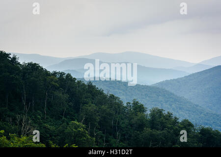 Schichten von der Blue-Ridge, gesehen im Shenandoah-Nationalpark, Virginia. Stockfoto