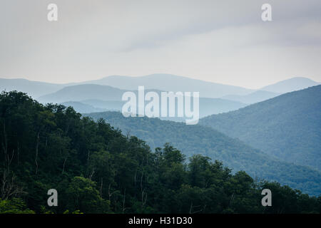 Schichten von der Blue-Ridge, gesehen im Shenandoah-Nationalpark, Virginia. Stockfoto