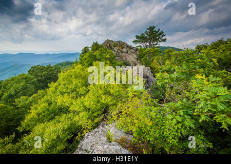 Die zerklüftete, felsige Gipfel des Bearfence Berges in Shenandoah-Nationalpark, Virginia. Stockfoto