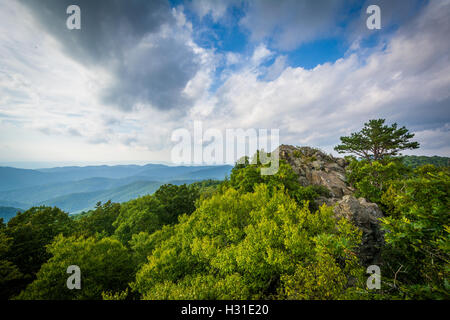 Die zerklüftete, felsige Gipfel des Bearfence Berges in Shenandoah-Nationalpark, Virginia. Stockfoto