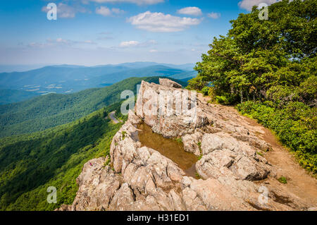 Blick auf die Blue Ridge Mountains von kleinen steinigen Mann Klippen auf dem Appalachian Trail im Shenandoah-Nationalpark, Virginia Stockfoto