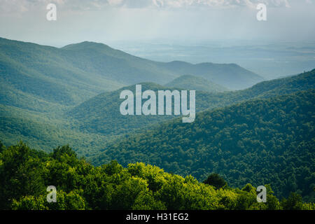 Blick auf die Blue Ridge von Blackrock Gipfel im Shenandoah-Nationalpark, Virginia. Stockfoto