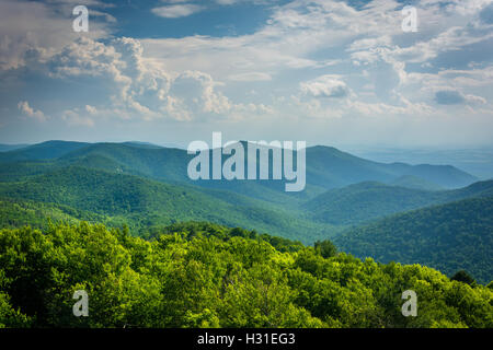 Blick auf die Blue Ridge von Blackrock Gipfel im Shenandoah-Nationalpark, Virginia. Stockfoto