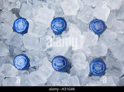 Bierflasche tops Flaschen im Eis Esky NSW Australia Stockfoto