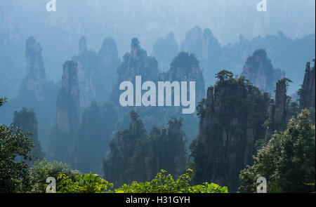 Nebel in den Bergen von Zhangjiajie Stockfoto