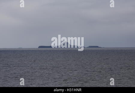 BAC-Mor Treshnish Inseln des Holländers Mütze Schottland Juli 2013 Stockfoto