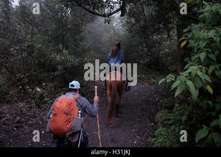 Eine weibliche Wanderer montiert auf einem Pferd auf ihrem Weg zum Pacaya einen komplexeren Vulkan im Departamento Escuintla. Guatemala. Stockfoto