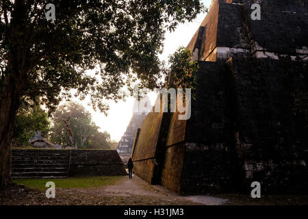 Ein Tourist spaziert über die Gran Plaza an der archäologischen Stätte von Tikal, einem alten städtischen Zentrum der präkolumbianischen Maya-Zivilisation in der archäologischen Region des Peten Basin im Norden Guatemalas Stockfoto