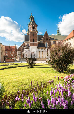 Sommer Wawel Kathedrale auf dem Wawel-Hügel in Krakau, Polen Stockfoto