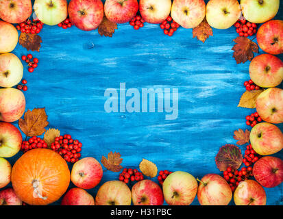 Herbstliche Rahmen rote Äpfel, Kürbis, Rowan auf lackierten hölzernen Hintergrund mit textfreiraum für Text in Mitte, Ansicht von oben Stockfoto