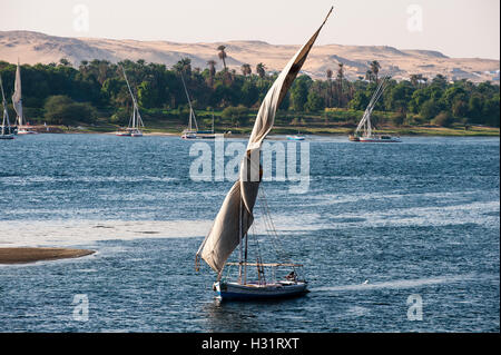 Ägypten. Assuan steht am Ostufer des Nils. Eine Feluke ist einem traditionellen Holzboot Segeln. Stockfoto