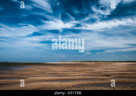 Ein breite Wind fegte Strand mit blauem Himmel und weißen Wolken auf der Norfolk-Küste, Brancaster, East Anglia, England Stockfoto