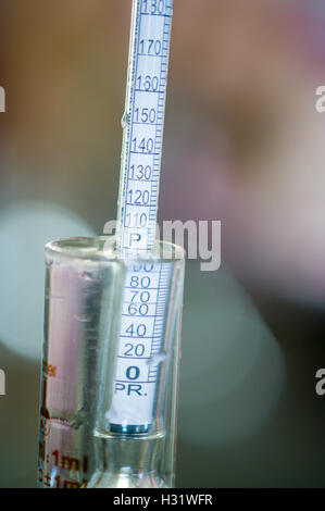 Hydrometer messen Alkoholgehalt in einer Destillerie in Portland, Maine. Stockfoto