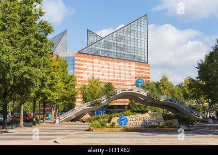 Der Eingang in das Tennessee Aquarium in Chattanooga, Tennessee. Stockfoto