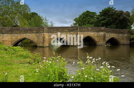 Historische Steinbrücke & Wye River mit Wildblumen, weiße Margeriten, Gräser Smaragd am Flussufer, blauen Himmel an Bakewell, England Stockfoto