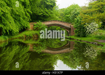 Atemberaubenden Blick auf den smaragdgrünen Wäldern durchtrennt von Llangollen Kanal mit historischen steinernen Bogenbrücke & Bäume spiegeln sich in der Oberfläche des Wassers in Großbritannien Stockfoto