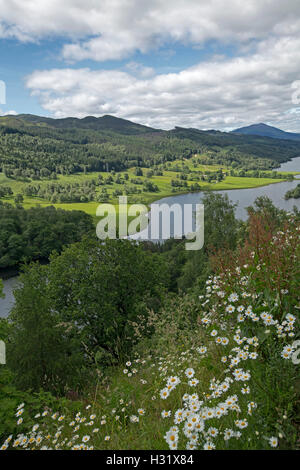 Spektakuläre schottische Landschaft mit Wildblumen, bewaldete Bereiche & Blick auf Loch Tummel aus Queens View Lookout nahe Stadt Pitlochry Stockfoto