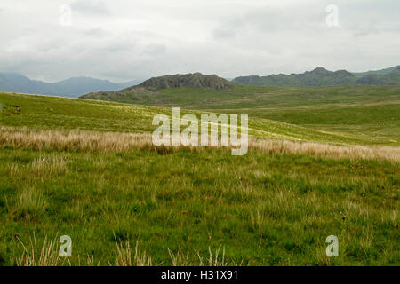 Weite Landschaft der Smaragd baumlosen Grasflächen gesäumt mit hohen schroffen Gipfeln steigt in Wolken im Lake District, Cumbria, England Stockfoto