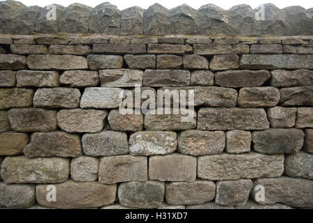 Abschnitt der hohen alten grau bis braun Trockenmauer in der Nähe von Bamford England Stockfoto