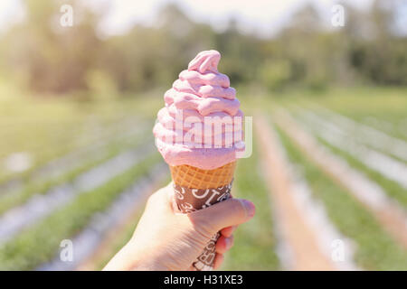 handgemachte frisch halten Erdbeer Eis am Erdbeerfarm Stockfoto