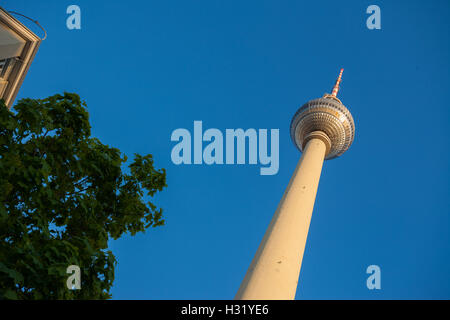 Der Fernsehturm (Fernsehturm) auf dem Berliner Alexanderplatz von unten gesehen Stockfoto