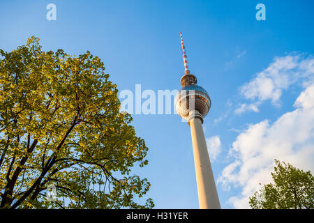 Der Fernsehturm (Fernsehturm) auf dem Berliner Alexanderplatz von unten gesehen Stockfoto