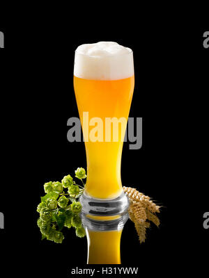 Natürliche trübe Hefe Weißbier aus Glas mit Hopfen und Weizen Ähre schwarz Stockfoto