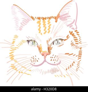 Vektor-Illustration von rote Katze isoliert auf weißem Hintergrund Stock Vektor