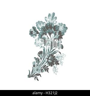 Vektor schöne Hand gezeichnete Blumen Blumenstrauß. Element design pattern auf weißem Hintergrund. Elegante Luxus Textur Farben Trend. Stock Vektor