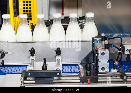 Milch Flaschen Verpackungslinie Stockfoto