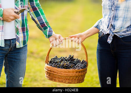 Junges Paar mit einem Korb voller Trauben im Weinberg Stockfoto