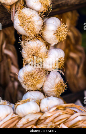 Viw an Knoblauch am Markt hautnah Stockfoto