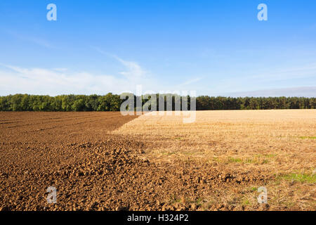 Muster und Texturen der Pflug Boden und Stoppeln mit Wäldern unter einem blauen Herbsthimmel auf die Yorkshire Wolds. Stockfoto