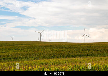Windenergieanlagen Windenergieanlagen in einem Windpark in Iowa. Stockfoto