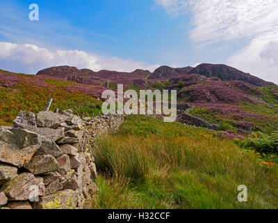 Hohe Felsen und Willygrass Gill über Stonethwaite in Borrowdale Stockfoto